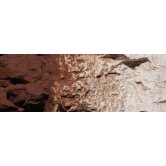 WS EARTH COLOR -BURNT UMBER