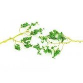 BACH Wire Foliage DK. GRN