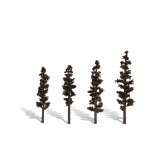 WS TREES STANDING TIMBER 4-6 i