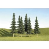 BACH Spruce Tree 5-6 inch