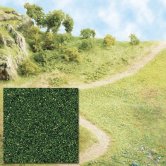 BUSCH Dark GREEN GRASS