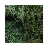 WS LICHEN -LT.GREEN MIX
