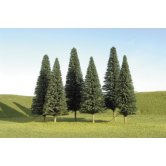 BACH PINE TREE 3-4 in.