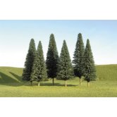 BACH PINE TREE 5-6 inch