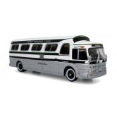 IR GM 4107 BUS PETER PAN