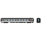 RAP COACH CN WET NOODLE