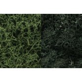 WS LICHEN -DK.GREEN MIX