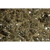 WS FINE-LEAF FOLIAGE DEAD