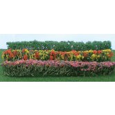 JTT FLOWER HEDGE