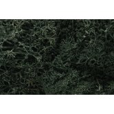 WS LICHEN -DK.GREEN