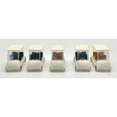 RIH GOLF CARTS 5 PACK