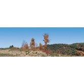 RB FALL MOUNTAIN 1
