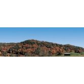 RB FALL MOUNTAIN 2