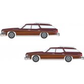 CMW BUICK ESTATE WAGON 1974 BU