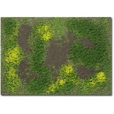 WBS ROUGH MEADOW SPRING w/WEED