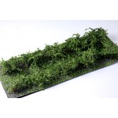 WBS LOW BUSHES MED.GREEN