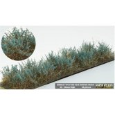 WBS LOW BUSHES JUNIPER GREEN