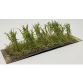 WBS HIGH BUSHES SPRING GREEN
