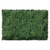 SCEN F&T Grass Green Coarse 48