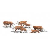 WS COWS HEREFORD
