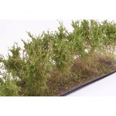 WBS HIGH BUSHES RED