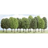 BUSCH 12 DECIDUOUS TREES